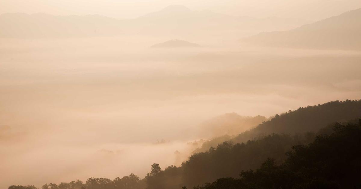 Membangun Struktur Data yangEfektif untuk Analisis Bisnis