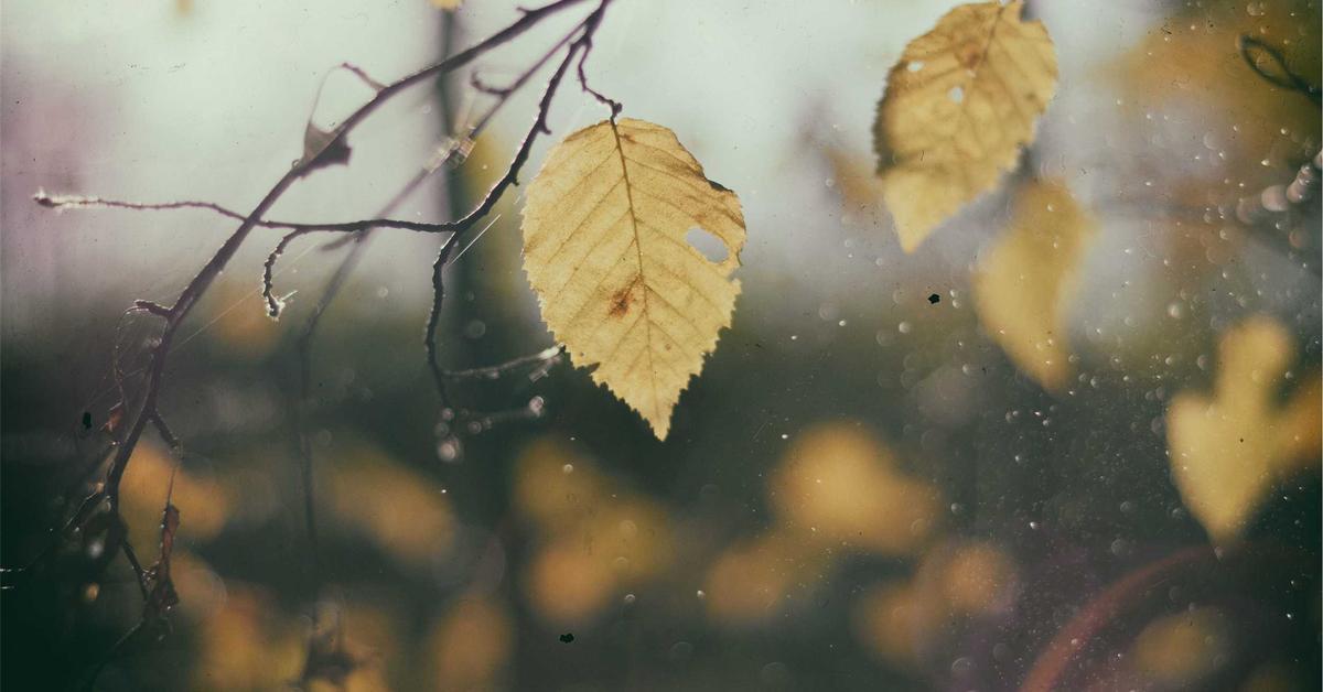 Mengembangkan Strategi Digital untuk Menghadapi Tantangan di Era Teknologi