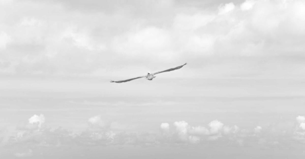 Mengembangkan Strategi Teknologi untuk Meningkatkan Inovasi di Indonesia