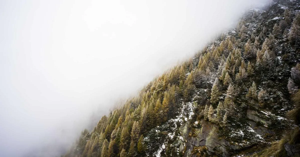 Mengoptimalkan Penggunaan Teknologi Containerisasi untuk Meningkatkan Efisiensi Pengembangan Aplikasi