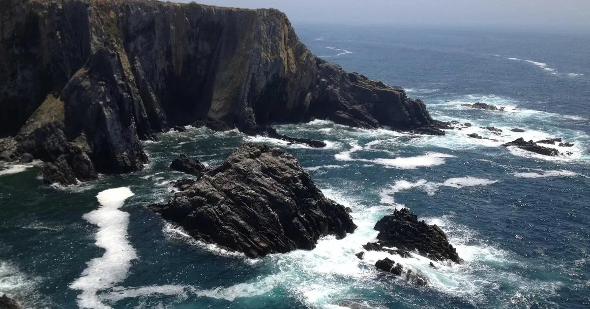 Mengoptimalkan Pemilihan Layanan IT untuk Bisnis di Indonesia