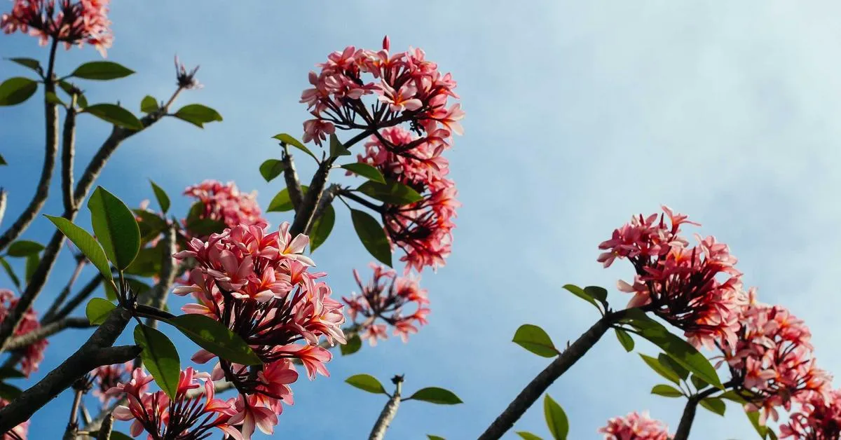 Mengoptimalkan Penggunaan Teknologi Komputasi Kuantum untuk Meningkatkan Kemampuan Komputasi