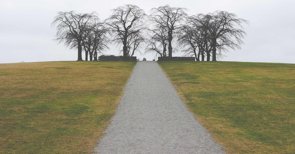 Mengoptimalkan Penggunaan Teknologi untuk Meningkatkan Kinerja Bisnis di Indonesia