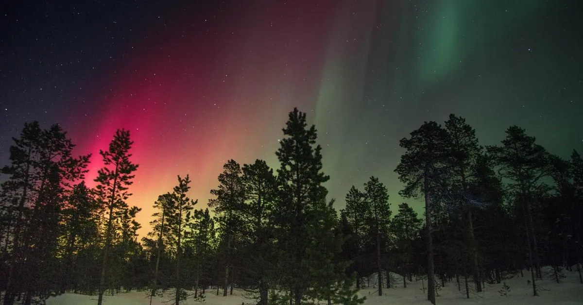 Mengoptimalkan Penggunaan Teknologi untuk Meningkatkan Kinerja Bisnis di Era Digital