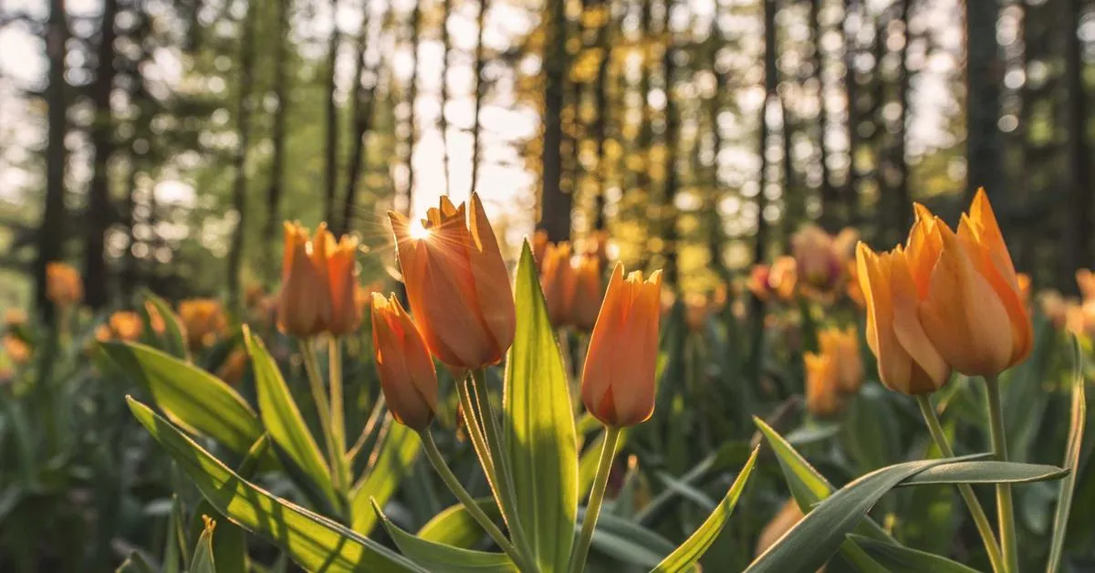 Mengoptimalkan Penggunaan Teknologi untuk Meningkatkan Kinerja Bisnis di Era Digital