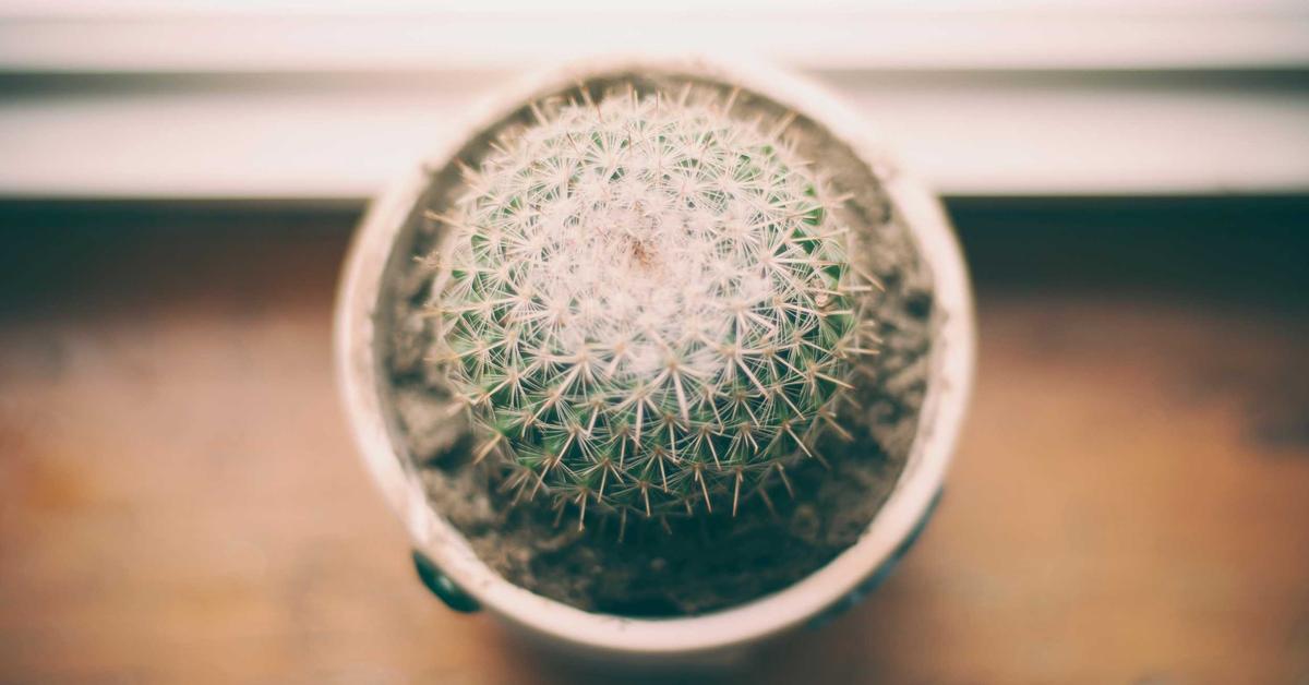 Mengintip Masa Depan Teknologi Pengembangan Perangkat Lunak di Indonesia