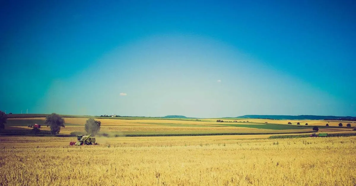 Mengenal Pentingnya Migrasi Sistem ke Aplikasi Berbasis Cloud di Indonesia
