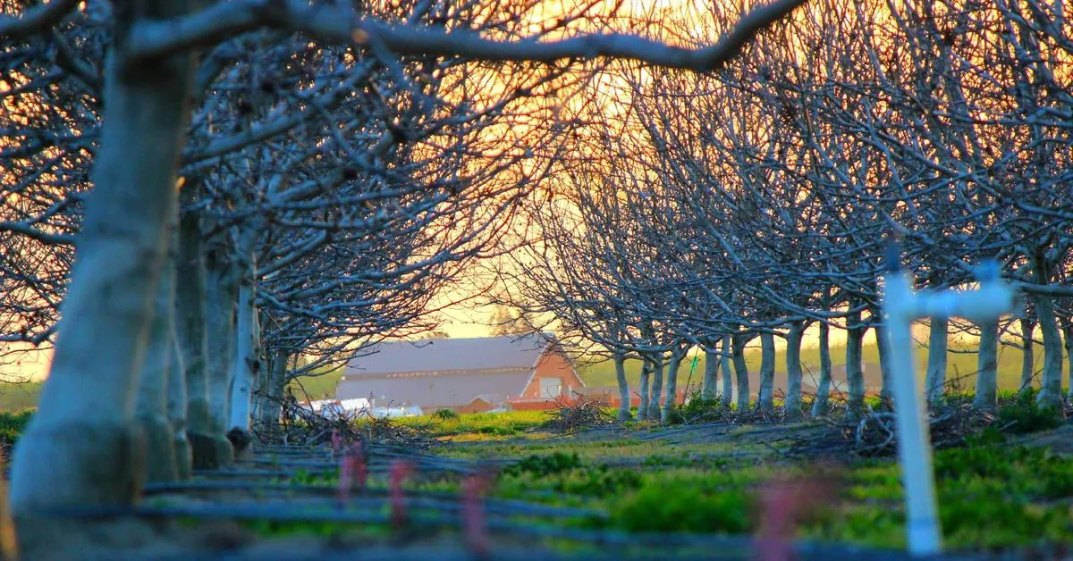 Mengapa Bisnis di Bali Membutuhkan Strategi Digital yang Efektif untuk Meningkatkan Kinerja