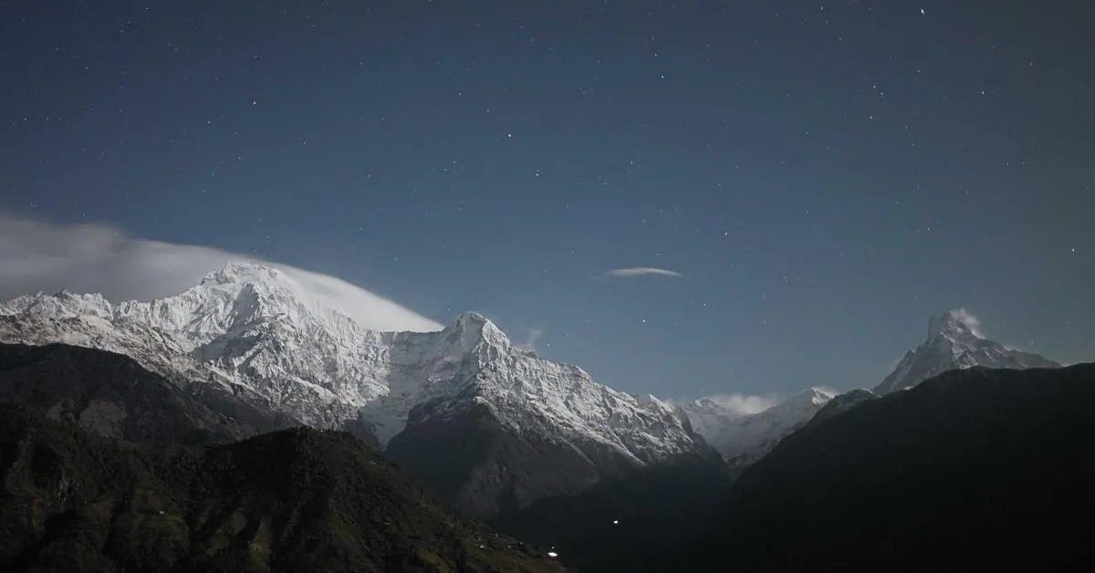 Netzvo — Platform Analisis Sentimen Media Sosial